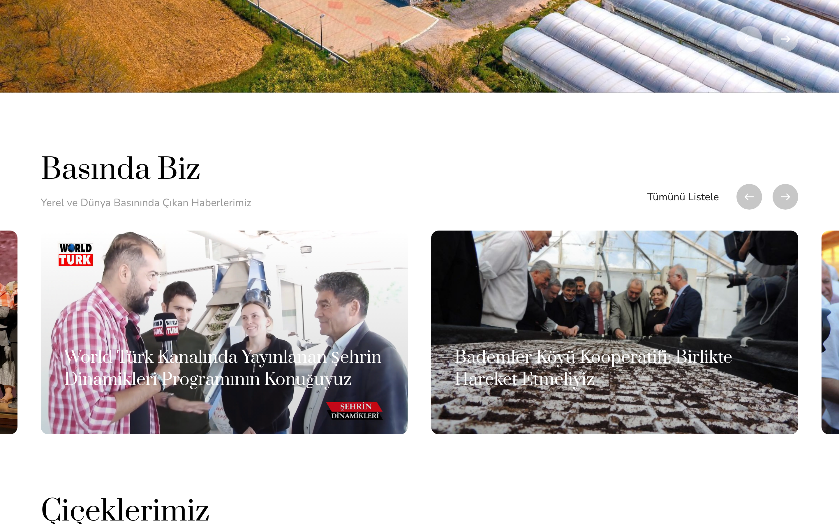 Bademler Koop — CATALOG · OLIVE OIL